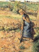 Camille Pissarro The collection of hay farmer Sweden oil painting artist